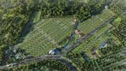 GREEN GROVES project